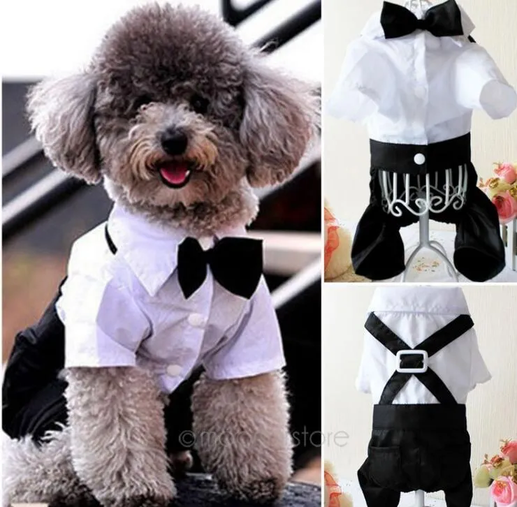 Pet Costumes Handsome Dog Rompers Clothing